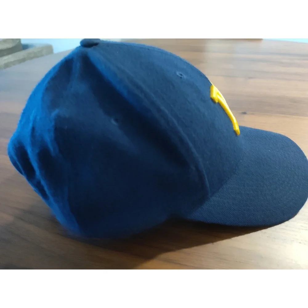 Nike Team Michigan Wolverines Hat Navy‎ Blue 100% Wool Adjustable Cap Mens OSFA